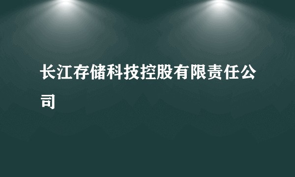 长江存储科技控股有限责任公司