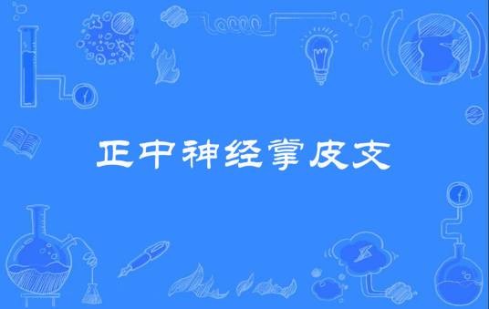 正中神经掌皮支