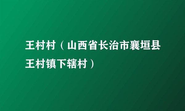 王村村（山西省长治市襄垣县王村镇下辖村）