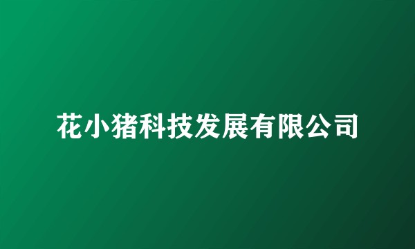 花小猪科技发展有限公司