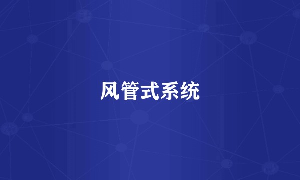 风管式系统