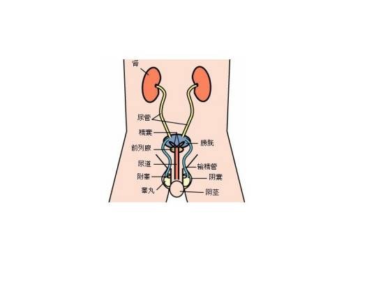 阴囊炎