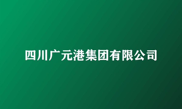 四川广元港集团有限公司