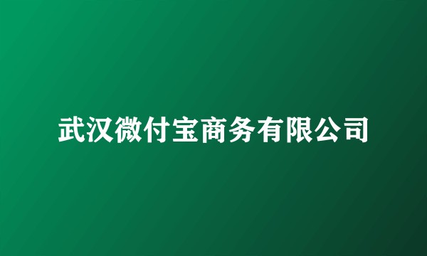 武汉微付宝商务有限公司