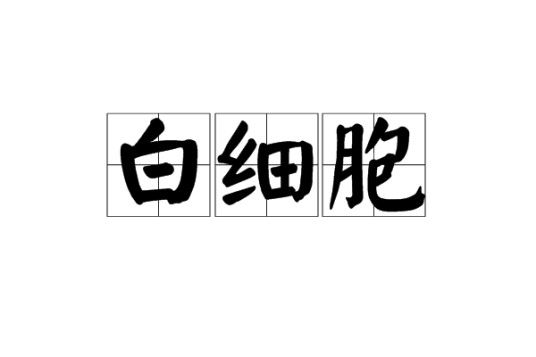 白细胞(一类无色、球形、有核的血细胞)
