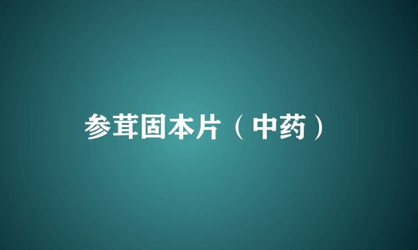 参茸固本片（中药）