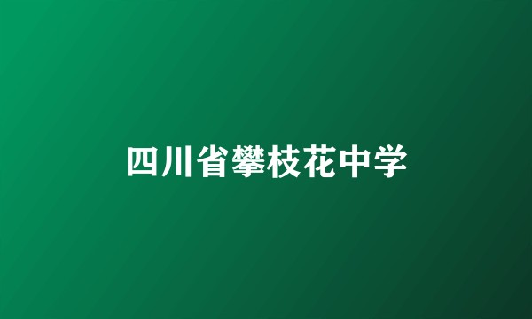 四川省攀枝花中学