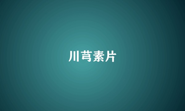川芎素片