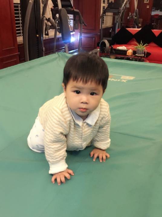 杨安麟