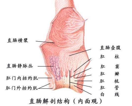 小儿痔疮
