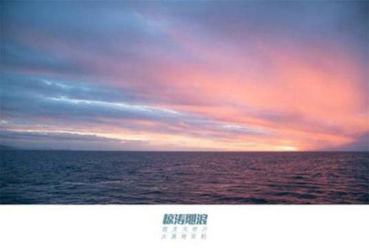 惊涛飓浪(美国2018年巴塔萨·科马库执导的电影)