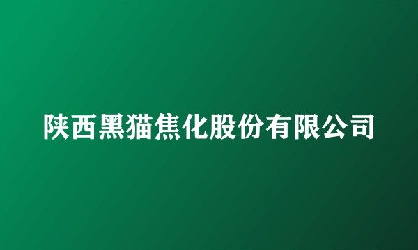陕西黑猫焦化股份有限公司