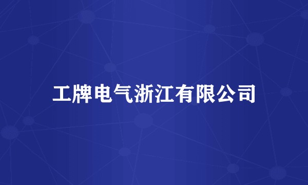 工牌电气浙江有限公司