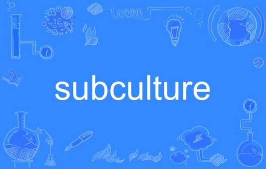 subculture（英语单词）
