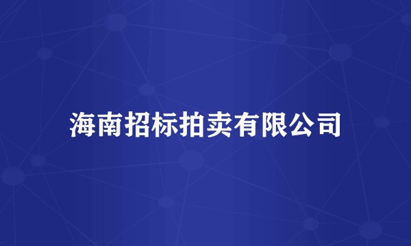 海南招标拍卖有限公司