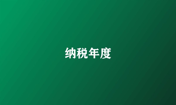 纳税年度