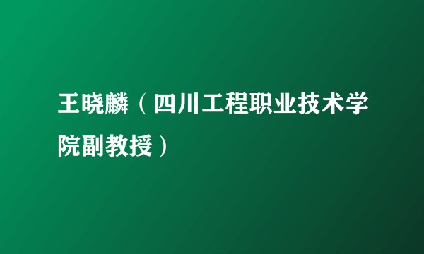 王晓麟（四川工程职业技术学院副教授）