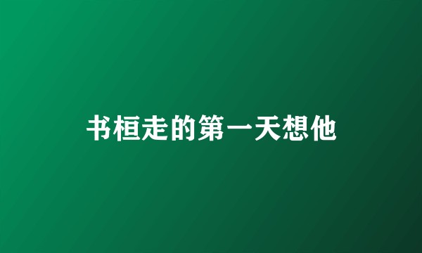 书桓走的第一天想他