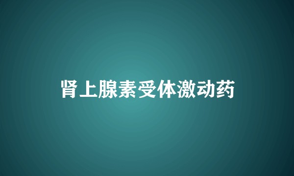 肾上腺素受体激动药