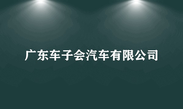 广东车子会汽车有限公司