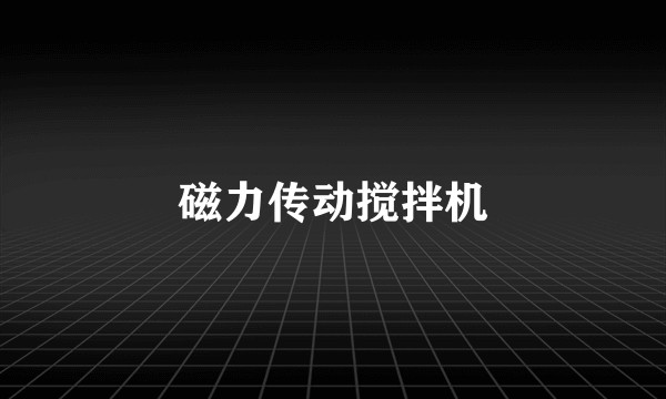 磁力传动搅拌机