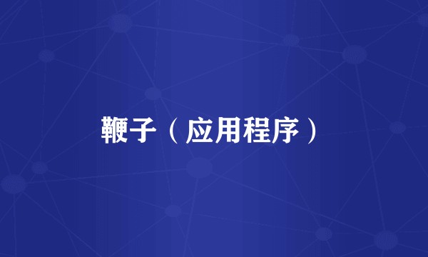 鞭子（应用程序）