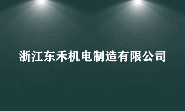 浙江东禾机电制造有限公司