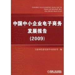 中国中小企业电子商务发展报告(2009)