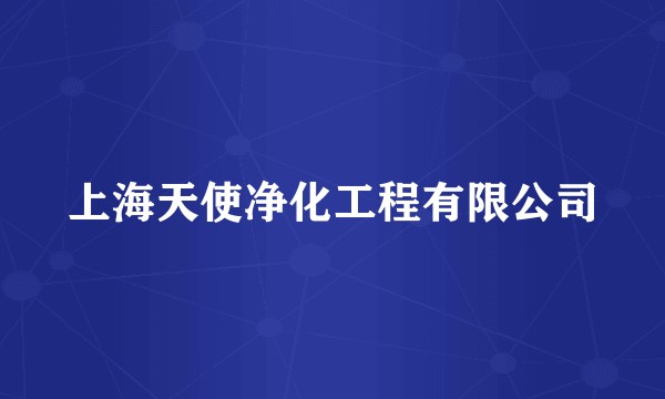 上海天使净化工程有限公司