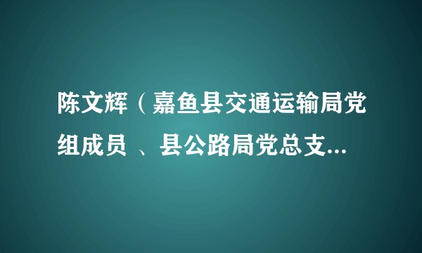 陈文辉(嘉鱼县交通运输局党组成员 、县公路局党总支部书记)