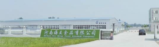 河南省海王食品有限公司