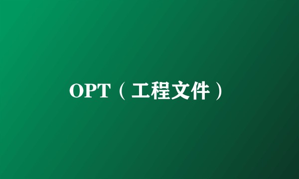 OPT（工程文件）