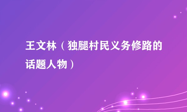 王文林(独腿村民义务修路的话题人物)