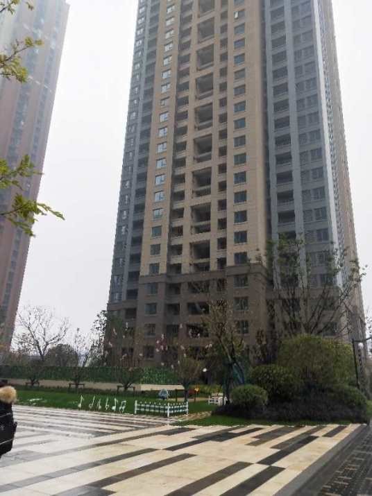 远洋心汉口