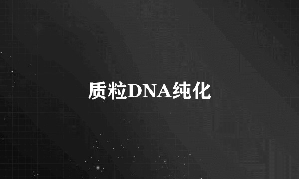 质粒DNA纯化