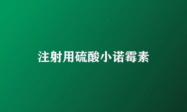 注射用硫酸小诺霉素