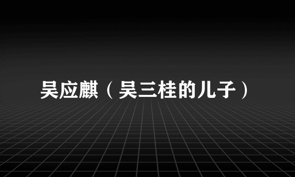 吴应麒（吴三桂的儿子）