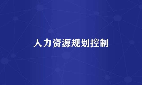 人力资源规划控制