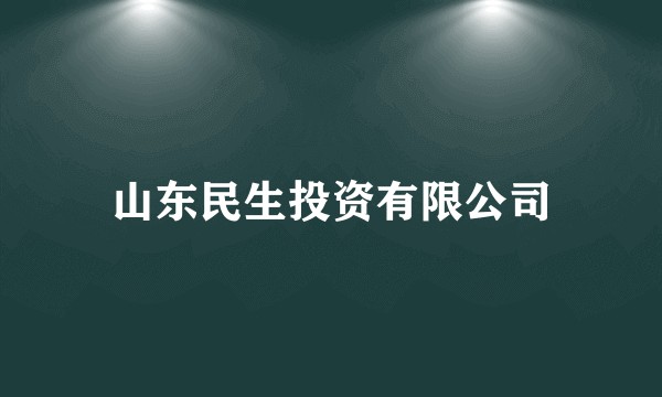 山东民生投资有限公司