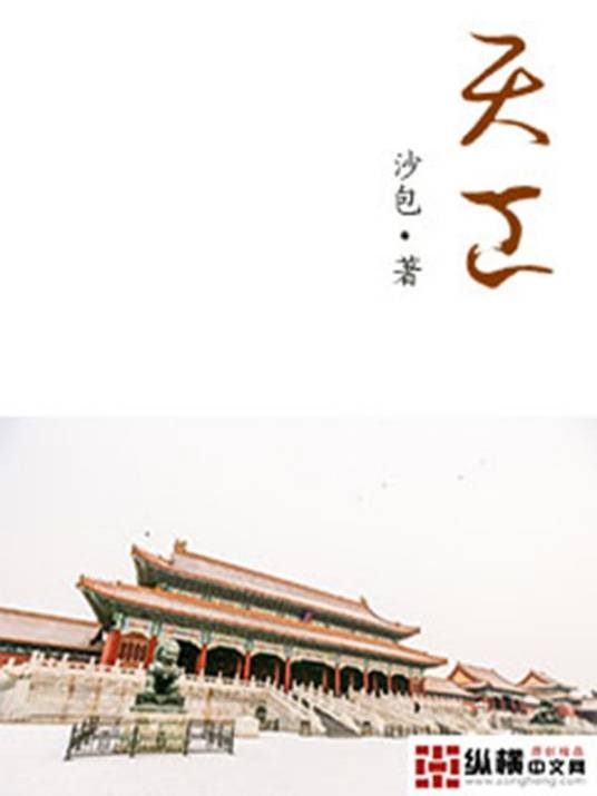 天工(沙包创作的都市类网络小说)