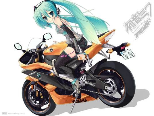 yzf-r6