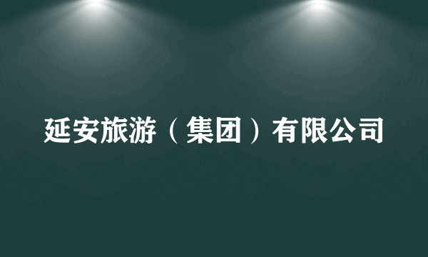 延安旅游（集团）有限公司