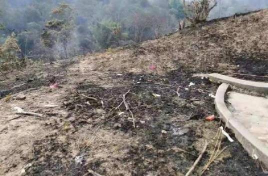 4·1普宁山火事故