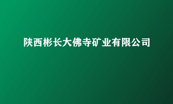 陕西彬长大佛寺矿业有限公司
