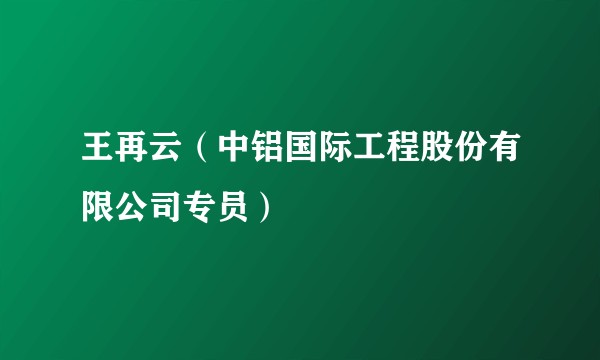 王再云（中铝国际工程股份有限公司专员）