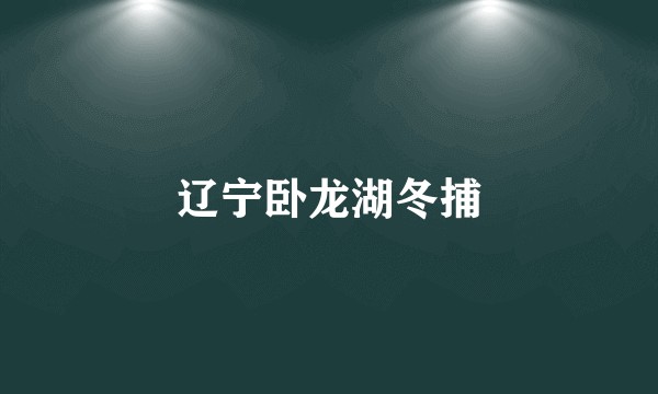 辽宁卧龙湖冬捕
