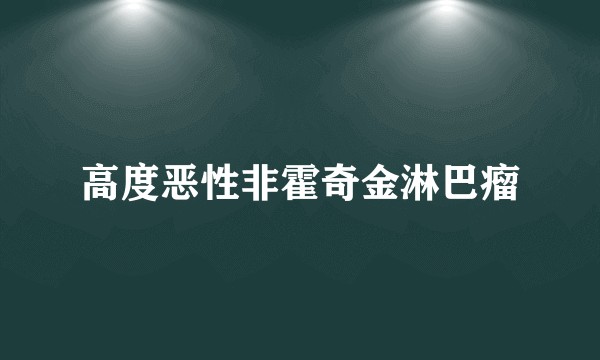 高度恶性非霍奇金淋巴瘤