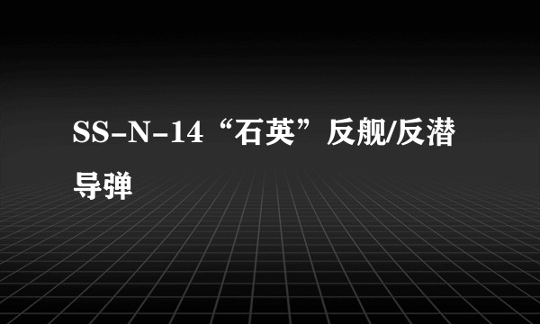 SS-N-14“石英”反舰/反潜导弹