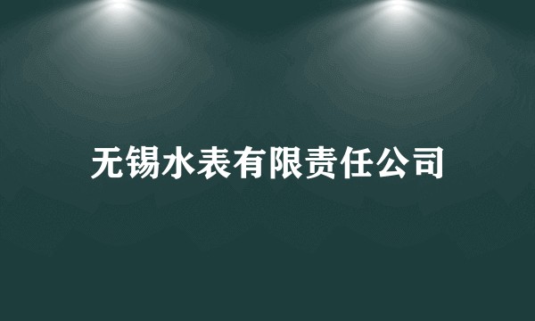 无锡水表有限责任公司