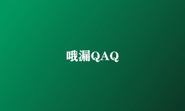 哦漏QAQ